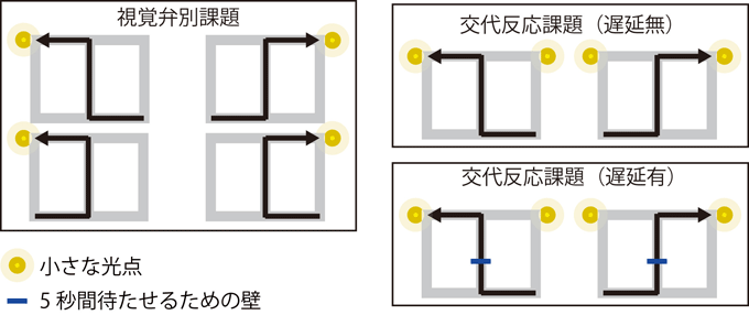 図1. 迷路課題